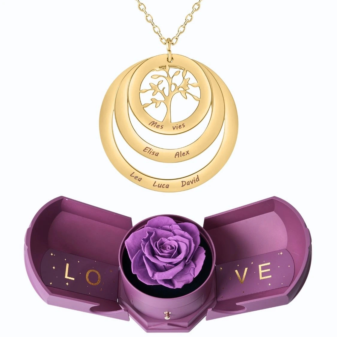 Coffret Harmonie Éternelle & Collier Cercle Arbre de Famille Personnalisé