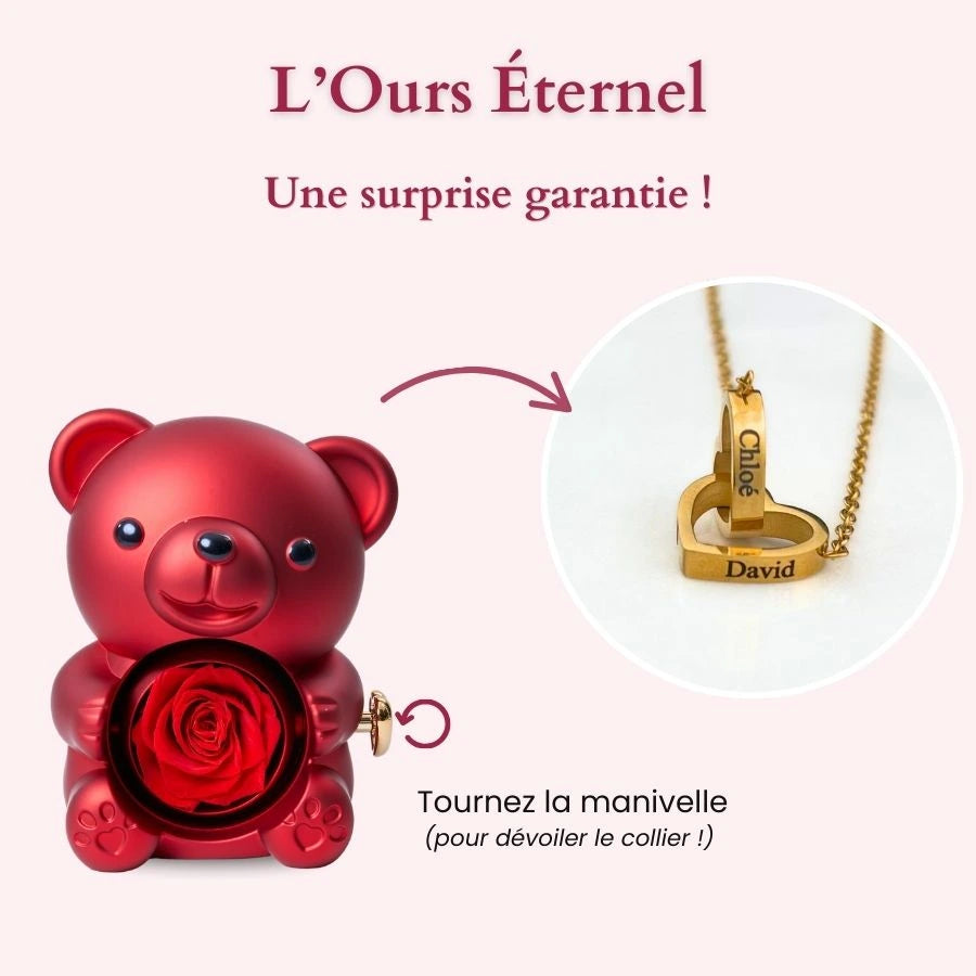 Eternal Rose Bear & Personalized Necklace